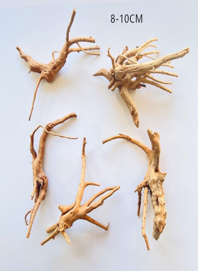 Zhuluck 1Pc Natural Aquarium Driftwood Branches Wood Aquarium Trunk Driftwood Tree Fish Tank Log Decoration Plant Stump, Aquarium Decoration Wood Aquarium Thematic Ornaments Aquarium Accessories (8-10cm) - Image 5